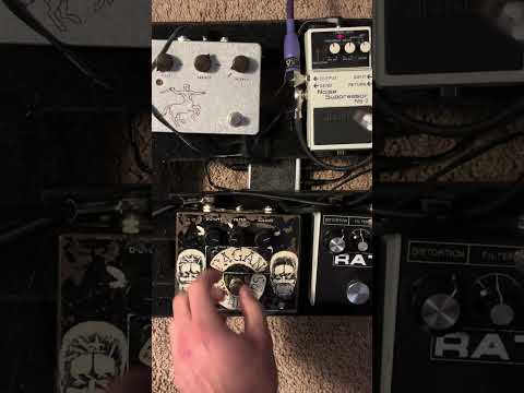 ProCo Big Box The Rat V2 1982 - Black image 15