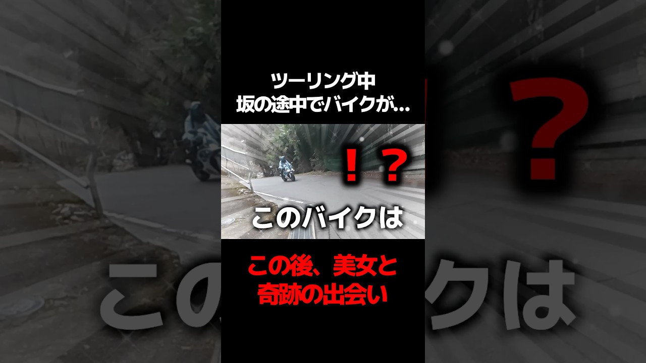 この後、美女と奇跡の出会いが...