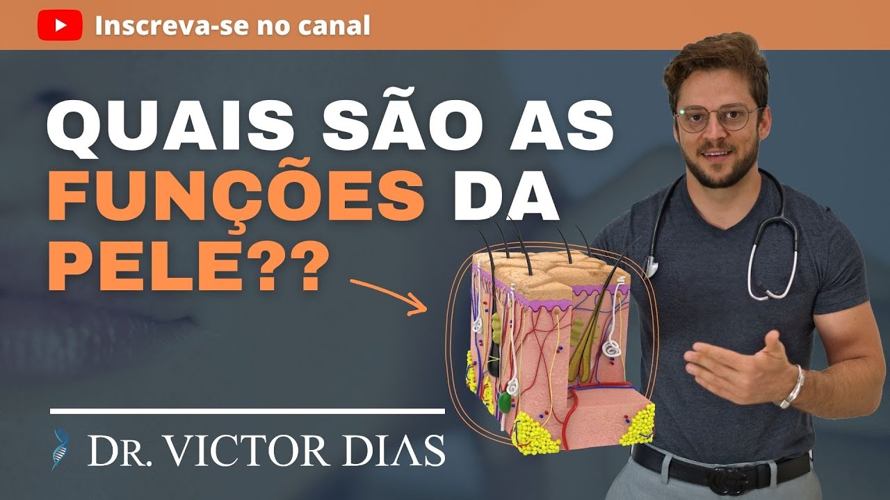QUAIS SÃO AS FUNÇÕES DA PELE?