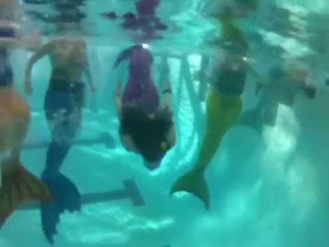 Matt Dishman Pool