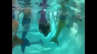 Mermaid Swim November 29 2015 @ Matt Dishman Pool
