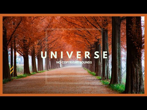 Safe Haven - Daxten [No Copyright Sound] | Soft-House