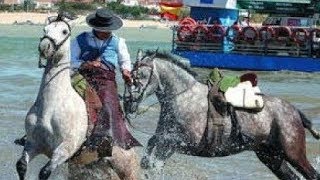 Hermandad del Rocío, El Puerto de Santa María. Cádiz