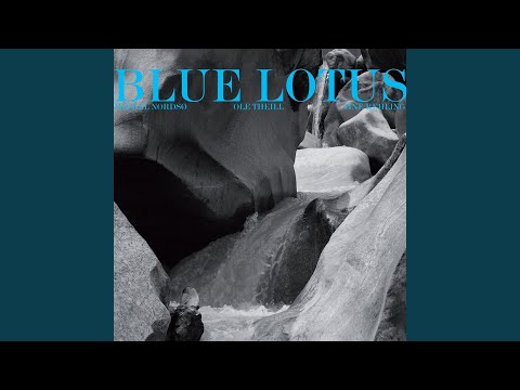Blue Lotus
