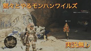 初見で黙々とやるモンスターハンターワイルズ　実況無し　part11.5
