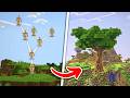 I Built a Tree Algorithm with Minecraft Commands