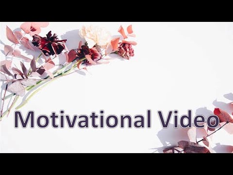 Flowers | The beauty of nature | Motivational video | Near the Window