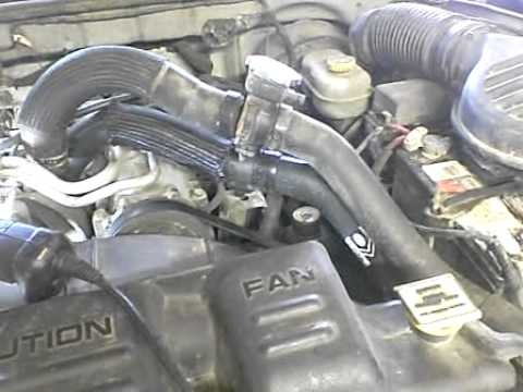 RADIATOR TOP HOSE ASSEMBLY 2001 DAKOTA