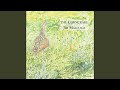 The Echo Mocks the Corncrake