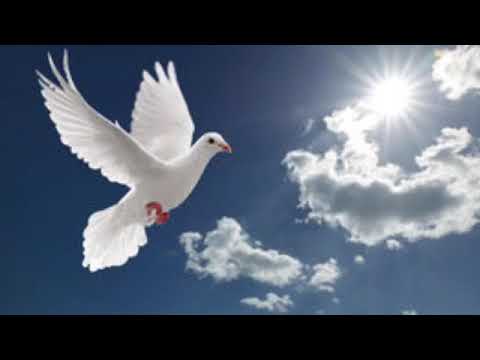 Chene - Je te servirai (Nous louons l'éternel vol4)