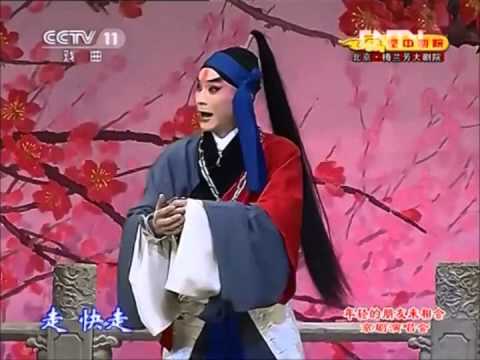 京劇: 野豬林 高撥子選段 王璐