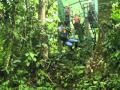 Shedletsky Thinks He Is Tarzan