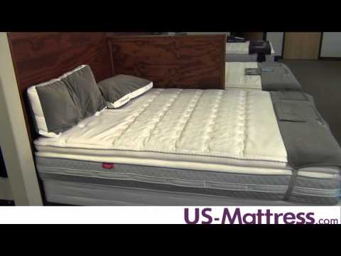 Sealy Posturepedic Hotel Series Sandidge Plush Euro...