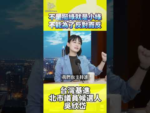 挺綠是小綠？吳欣岱：在野黨不能為反而反