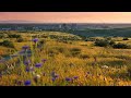 Doug Martsch ~ 2021-03-27 ~ Hazy [with lyrics]