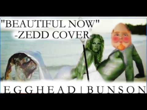 Beautiful Now - Zedd Cover - Egghead Bunson