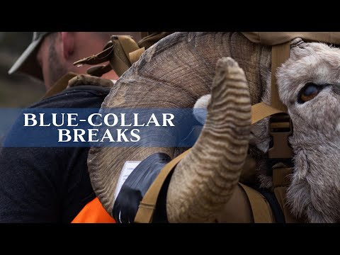 "Blue-Collar Breaks" - Official Trailer