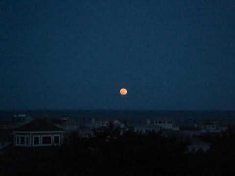 blue moon mp4