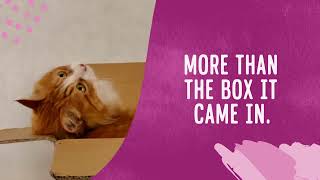 The Honest Kitchen BOX