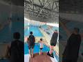 JasonDeruloTV All Their Dives IG Dcdo