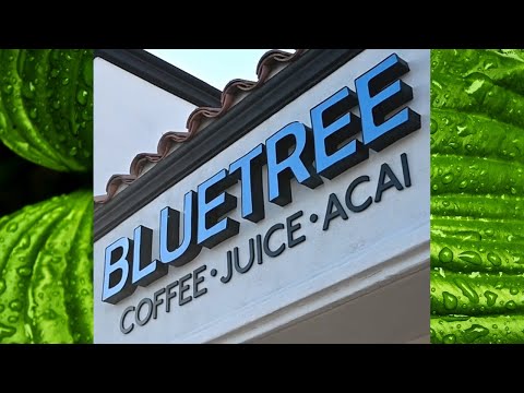 Bluetree Cafe Anaheim Hills Ca, Voted Top 10 Coffee Shops in OC  Now Sunbliss
