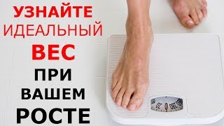 Сколько сому лет если вес 13 кг