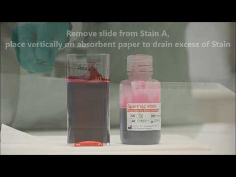 Fertipro Spermac Stain