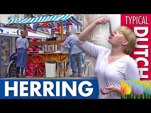 Quầy cá trich - Kỳ nghỉ ở Hà Lan