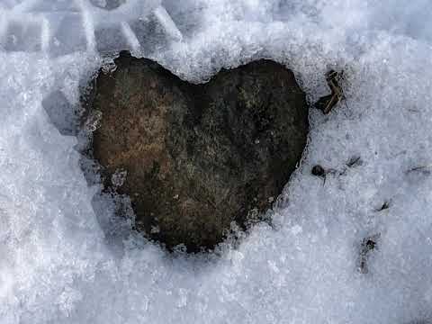 Rothaarsteig-Westerwaldvariante Etappe 1 Dillenburg (Hofgarten) bis Fuchskaute (Lodge Fuchskaute)