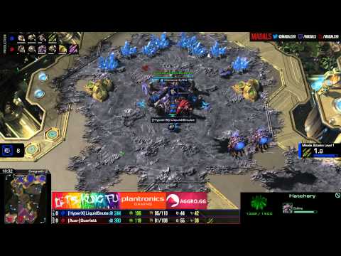 The Foreign Hope   Snute v Scarlett ZvZ G1