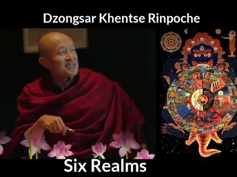 His Holiness Dzongsar Khentse Rinpoche beautifully explains the six realms.