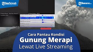 Begini Cara Pantau Kondisi Gunung Merapi Melalui Siaran Live Streaming CCTV dan Seismik