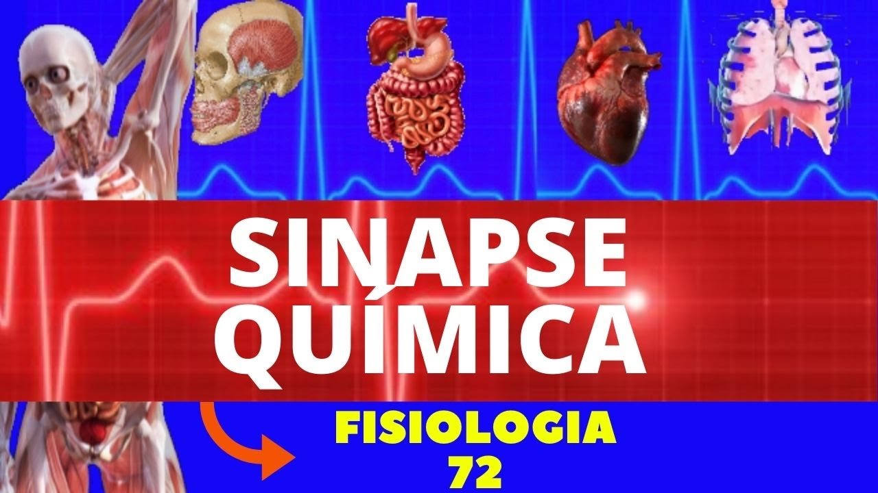 SINAPSE QUÍMICA (TRANSMISSÃO SINÁPTICA) - NEUROFISIOLOGIA - SISTEMA NERVOSO - FISIOLOGIA DE GUYTON