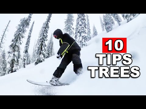 10 Tips to Snowboard Better in Trees