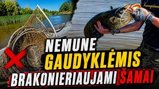 Štai taip brakonieriaujami šamai!