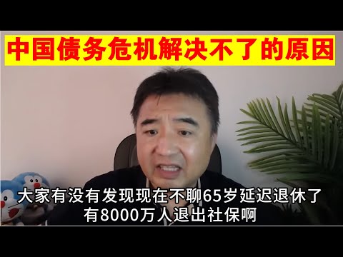 翟山鹰：为什么说中国现在的债务危机解决不了丨为什么现在不提65岁延迟退休