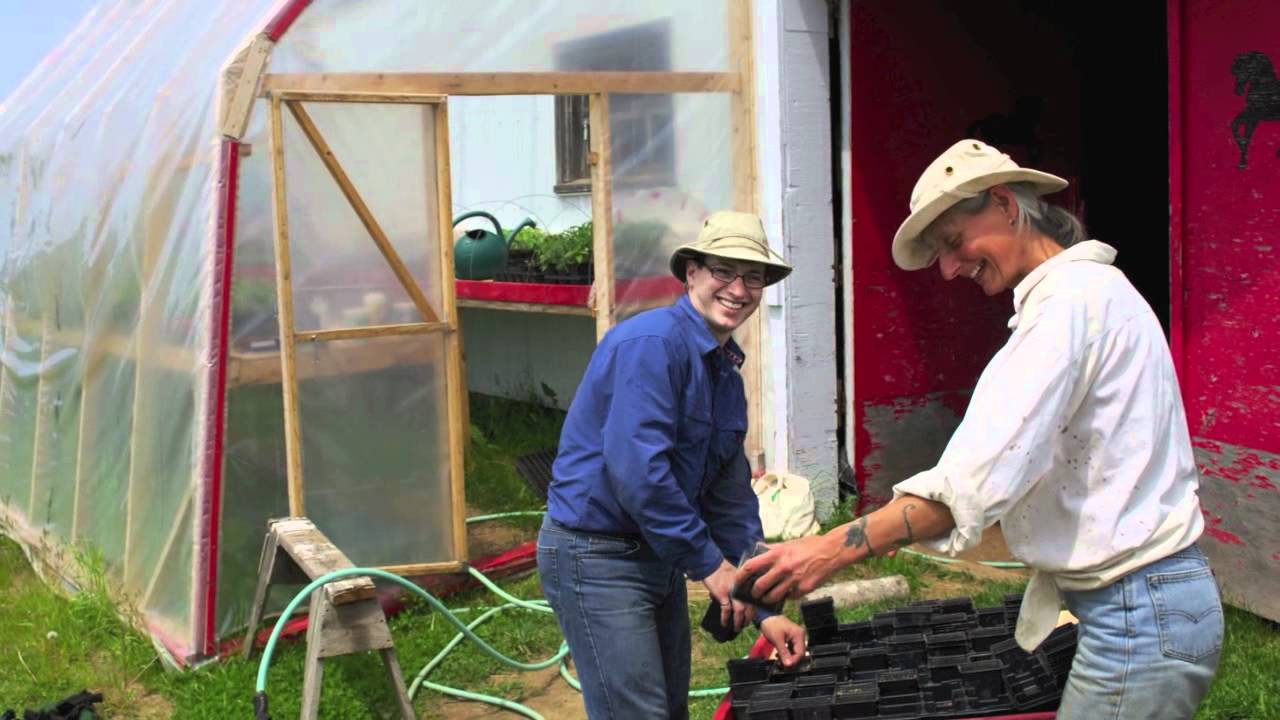Windy Hill Farm - CSA