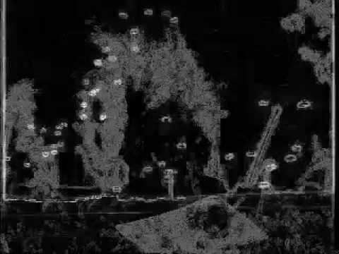 TACKHEAD "Airborne Rangerl"