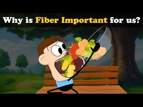 Why is Fiber Important for us? + more videos | #aumsum #kids #science #education #children