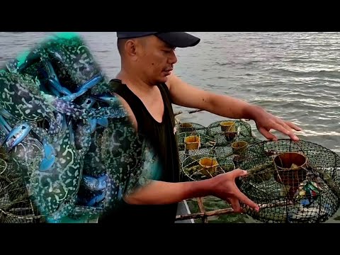 PANGHUHULI ng alimasag/collaboration with Painexpert Onelifehistory