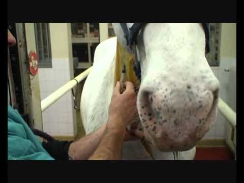 comment guerir l'ataxie