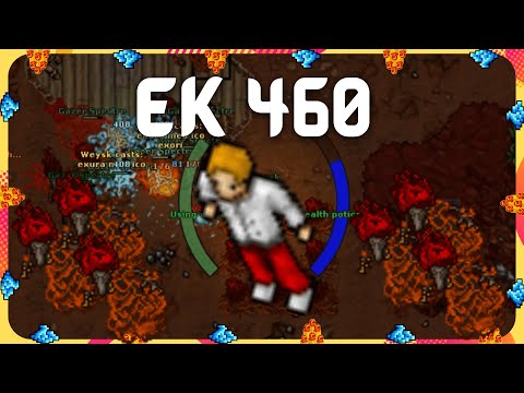 [TIBIA] - GUIA DE EK HUNT GAZER SPECTRE | 3,4KK/H RAW XP E PROFIT 650K/H LEVEL 400+
