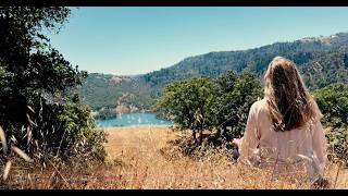 Guided Meditation to Quiet the Noise | 10 Min Mindfulness for Stillness & Peace