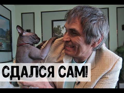 Найден мошенник, обманувший семью Алибасова! Новости шоу бизнеса