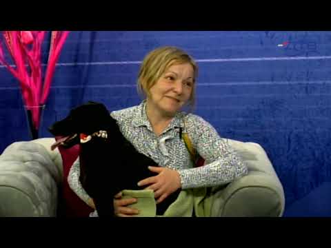 Dunavsko popodne 18.3 - gosti Prihvatilište za životinje "Dobra nada"