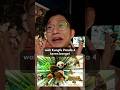 KUNGFU PANDA 4 HARUSNYA GAK USAH ADA ️ MONEY MILKING TEROSSS