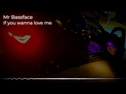 Mr Bassface - If you wanna love me