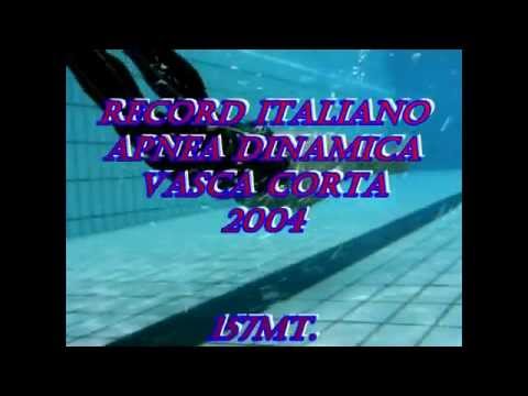 video successi homar leuci