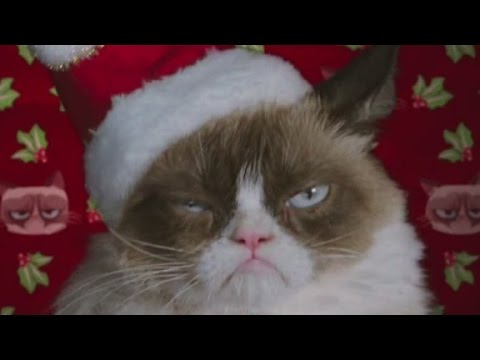 Grumpy Cat starring in Christmas movie