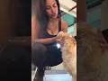 Hot Priya Anand Cuddling Bollywood Actress Fitness Priyaanand Priya Fashion Model Glam